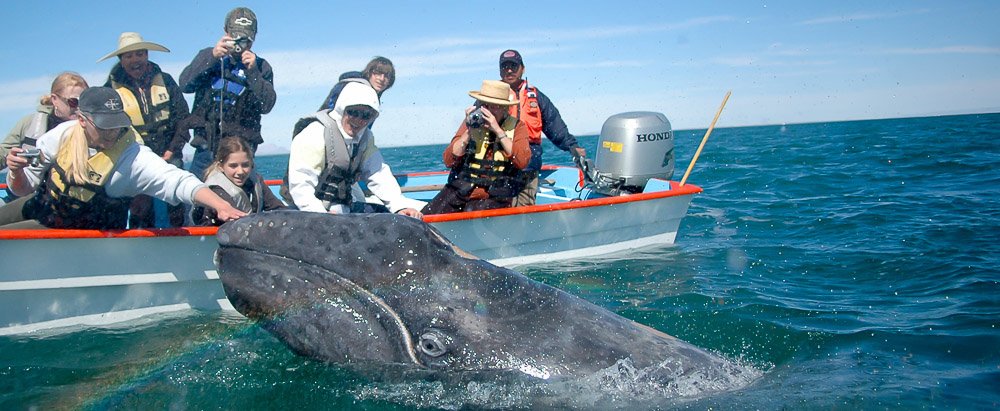 Actividades Ensenada Naturaleza
