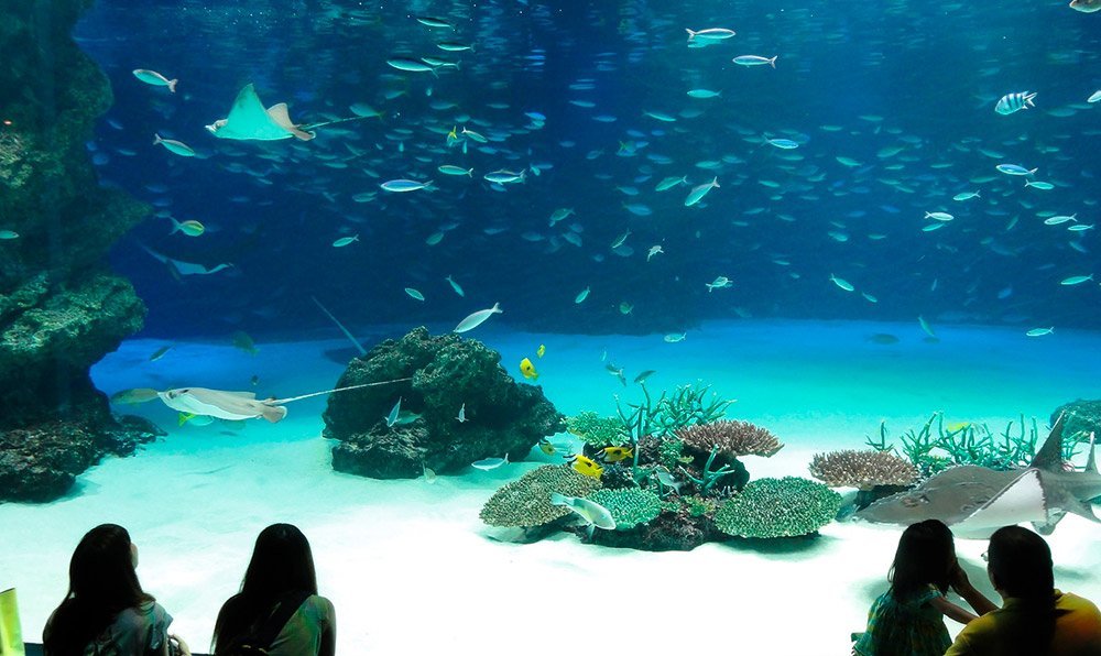 acuario Léon día festivo