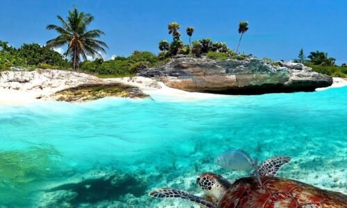 playa bonita méxico