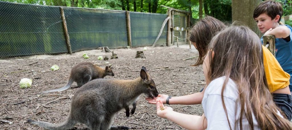 zoológico México día festivo