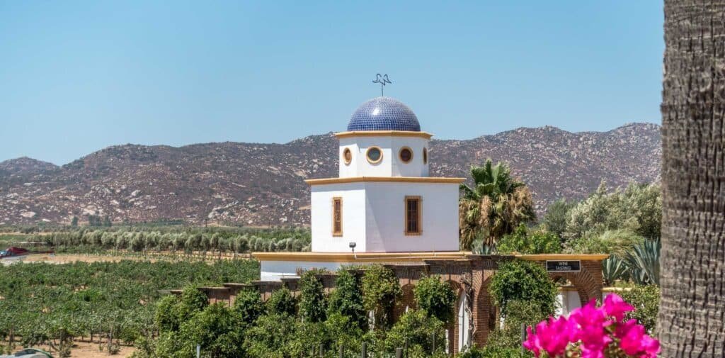 día festivo guadalupe